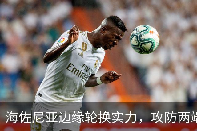 海佐尼亚边缘轮换实力，攻防两端短板明显，骑士还需寻找靠谱锋线